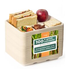 HAAGO 100 Kompostierbare Zuckerrohr Menüteller, 26 × 21 cm mit 5 Fächern - Stabile, Fett- & Auslaufsichere Pappteller – Biologisch Abbaubare Einwegteller, Portionsteller für Partys & Catering