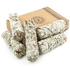 MUT22 5 Weißer Salbei 10 cm Premium Kalifornischer, 100% natürlich und reinigend, ideal für spirituelle und energetische Rituale