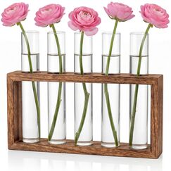 Cieex Kleine Vintage Blumenvase, Modern Glas Reagenzgläser für Blumen Mit Ständer Holz, Glasrohre mit Flachboden Vasen Deko Set für Hydrokultur Pflanzen Tischdeko Hause Büro Wohnzimmer Küche Deko
