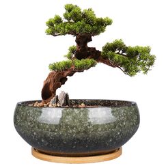 EPFamily Bonsai-Pflanztopf aus Keramik, glasiert, flach, Sukkulenten-Übertopf mit Ablaufloch und Untersetzer aus Bambus für Zimmerpflanzen, 20,3 cm, Grün