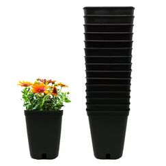 Murgiplast Quadratische Pflanztöpfe aus Kunststoff für den Innenanbau, Pflanzgefäße für den Anbau, Außenbehälter für Pflanzen und Blumen, 1 Liter, 10 x 10 x 14 cm, 15 Stück.