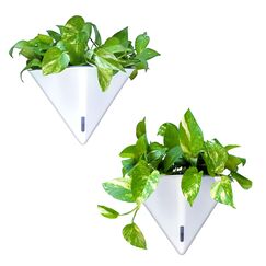 Wand-Pflanzgefäße für Zimmerpflanzen – 2 Stück, 30.5 cm groß, selbstbewässernder Wand-Pflanzgefäß, weiße, geometrische hängende Blumenvase, moderne stilvolle Wandmontage, Sukkulenten-Topflappen-Dekor