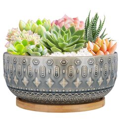 Fivepot 8 Zoll Keramik Sukkulenten Pflanztopf Töpfe mit Drainageloch Blumentopf für Zimmerpflanzen Rund Flach Bonsai Topf mit Bambustablett Blau