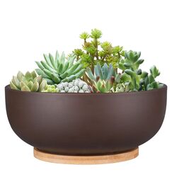 Thirtypot 25CM Terracotta Planter, Large Succulent Bonsai Planter Pot with Drainage Hole and Bamboo Saucer for Indoor Plants, Brown