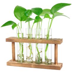 Desktop-Pflanzen-Terrarium, Anzuchtstation, 4 Reagenzgläser, Übertopf, Tisch-Glas-Pflanzgefäß, Vase mit Holzständer für Hydrokulturpflanzen, Heimbüro, Tischdekoration
