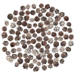 200 St&uuml;ck Weihnachten Tannenzapfen Nat&uuml;rliche Mini Tannenzapfen Tannenzapfen Weihnachten Tannenzapfen Ornamente f&uuml;r Heimtextilien DIY Handwerk Weihnachtsbaum Herbst Winter Dekoration, Wei&szlig;