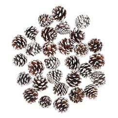 ENLACE 30 St&uuml;ck Tannenzapfen, ca. 2-3cm, Klein Weihnachten Tannenzapfen mit Wei&szlig;er Anstrich, Natur Kiefernzapfen Deko f&uuml;r Weihnachtsdeko DIY Handwerk Weihnachtsbaum Herbst Winter Dekoration