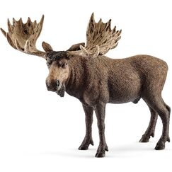 SCHLEICH WILD Life | Elch Bulle 14781 | detailgetreue Tierfiguren | Zoo Spielzeug | Geschenk f&uuml;r Jungen & M&auml;dchen | Deko f&uuml;r Geburtstag & sch&ouml;ne Sammelfigur | Spielfigur ab 3 Jahren | 13 x 7 x 11 cm