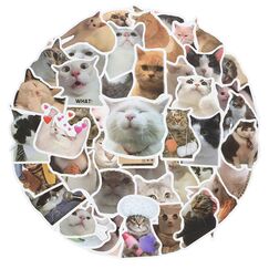 cobee Lustiges Katzen Aufkleber Set, 50 St&uuml;ck, s&uuml;&szlig;e Katzen Aufkleber wasserfeste Vinyl Aufkleber &auml;sthetische Aufkleber f&uuml;r Katzenliebhaber Wasserflaschen Sammelalbum Telefon (Katzenform)