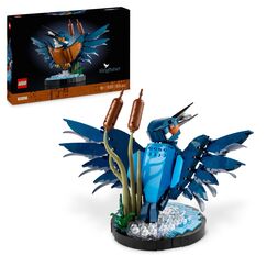 LEGO Icons Eisvogel Modellbausatz für Erwachsene, Vogel-Modell fürs Wohnzimmer oder Büro, Wohn- und Homeoffice-Deko, Geschenk für Vogelliebhaber und Ornithologen, Frauen und Männer 10331