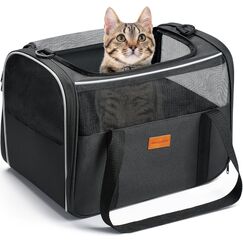 Morpilot Katzentransportbox f&uuml;r Katzen und Welpen bis 5kg, Katzenbox Hundetasche mit Sicherheit Rei&szlig;verschl&uuml;sse, Transportbox Katze Hunde f&uuml;r Der Gang zum Tierarzt Auto Fugzeug