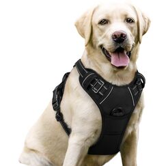 rabbitgoo Hundegeschirr Grosse Hunde, Anti Zug Geschirr mit Kontrolle, No Pull Verstellbar Hundegeschirr Mittelgroße Hunde, Atmungsaktiv Reflexstreifen Brustgeschirr Sichere Führung, Schwarz, L
