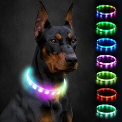 Joytale Leuchthalsband Hund, Hundehalsband Leuchtend Aufladbar, Längenverstellbar Led Hundehalsband mit 9 Leuchtmodi, Regendicht Hunde Leuchthalsband für Kleine Mittlere Große Hunde, 70 cm