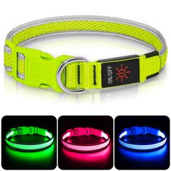 Leuchthalsband Hund, Colaseeme LED Hunde Leuchthalsband, Wasserdicht Hundehalsband Leuchtend, HundeleuchthalsbäNder Aufladbar für Pet Night Walking Safety, grün M