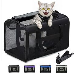 Conlun Katzentransportbox,Weiche Katzentransporttasche mit 4-seitigem Netz, Flugzeugtaugliche Katzentasche für Kleine&Mittelgroße Katze Kätzchen Welpen bis 6 Kg, Hundetransportbox Faltbar-M, Schwarz