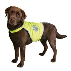 TRIXIE Warnweste für Hunde M neongelb – Sicherheitsweste mit reflektierenden Elementen für mehr Sicherheit im Dunkeln – verstellbar & pflegeleicht mit Klettverschluss - 30082