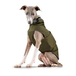 ZAUBERPFOTE® Hunderegenmantel London I Mit extra langem YKK® Reißverschluss für Halsband & Geschirr I Für kleine, mittlere & große Hunde I Wasserdicht & Maschinenwaschbar I Regenmantel für Hunde (60)
