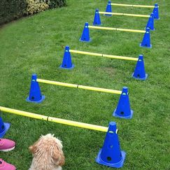 LionSports praktisches Steckhürdenset für Fußball, Hundesport, Pferdesport – Ideales Trainingszubehör, Fußballtraining, Pferd und Hunde - Profi Pylonen Set mit Hürden - Hindernisse Kegel