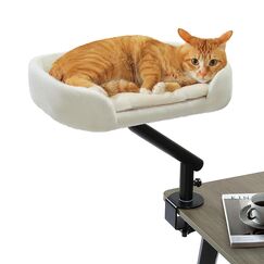 PAWZ Road Katzenbett für Schreibtisch mit interaktivem Plüschball, Katzenkorb, 360° drehbar Katzenbettständer, Katzen Hängematte für Kratzen, Katzenbett, unterstützt bis zu 22.5kg