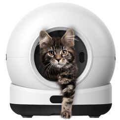 Selbstreinigende Katzentoilette, 82L Katzenklo Selbstreinigend mit App – Inkl. Katzenklo-Matte & 3 Rollen Müllbeutel – XXL - Zedar K1200