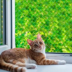 QILUCKY Nylon Katzenschutznetz Katzennetz für Balkon Transparent Können Zuschneidbar ​und Bissfest Balkonnetze für Katzen ​zur Absicherung von Terrasse, Fenster und Türen (3x3 m)