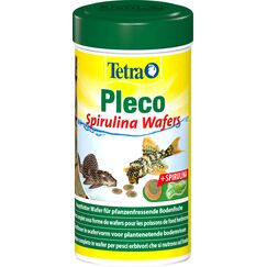 Tetra Pleco Algae Wafers - Fischfutter mit Spirulina-Algen für algenweidende Bodenfische, 250 ml Dose