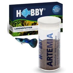 HOBBY Aquaristik Artemia Eier I 20 ml I Lebendfutter für Aquarienfische I Artemien-Eier zur Zucht von Artemia-Nauplien I Frische Artemia für nährstoffreiche und gesunde Ernährung I Artemiazysten