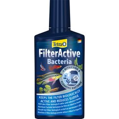 Tetra FilterActive Bacteria - 2in1 Mix aus lebenden Starterbakterien und schlammreduzierenden Reinigungsbakterien, hält den Filter biologisch aktiv und reduziert Mulm, 250 ml
