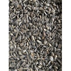 Classic Bird Sonnenblumenkerne gestreift 25kg X 1 Stk./Einheiten