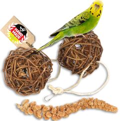 Vogelgaleria® Kolbenhirse gefüllte Weidenkugel 2er Pack - handgefertigt in Deutschland - Erstaunlicher Spielspaß für glückliche und aktive Wellensittiche
