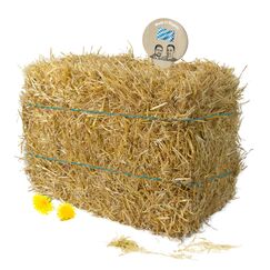 Gebrüder Goller - 10kg Strohballen - für Kaninchen, Meerschweinchen, Hamster und Hasen, auch geeignet als Deko-Stroh, Ballen Direkt aus Bayern