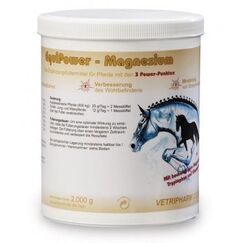 EquiPower Magnesium | 2 kg | Ergänzungsfuttermittel für Pferde | Mit Tryptophan & Vitamin B12