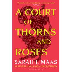 A Court of Thorns and Roses: Dyslexia-friendly Edition
