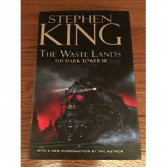 The Wastelands (The Dark Tower, Band 3)