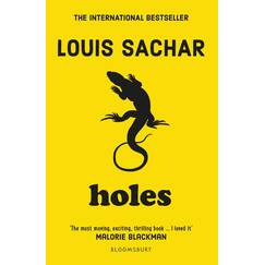 Holes: The iconic childhood-defining phenomenon