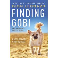 Finding Gobi: A Little Dog with a Very Big Heart