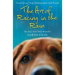 Art Of Racing In The Rain: A Novel