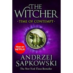 Time of Contempt: The bestselling novel which inspired season 3 of Netflix’s The Witcher