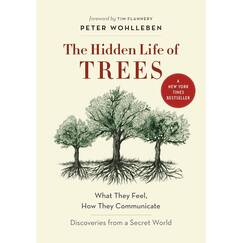 Hidden Life of Trees: What They Feel, How They Communicate―Discoveries from A Secret World (The Mysteries of Nature, 1)