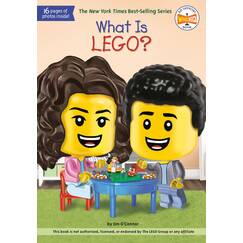 What Is LEGO? (What Was?)