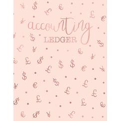 Accounting Ledger: Simple Cash Book Accounts Bookkeeping Journal for Small Business | Log, Track, & Record Expenses & Income - Rose Gold & Baby Pink Money Pattern Cover