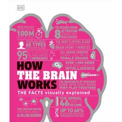 How the Brain Works: The Facts Visually Explained (How Things Work)