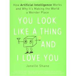 You Look Like a Thing and I Love You: How Artificial Intelligence Works and Why It's Making the World a Weirder Place