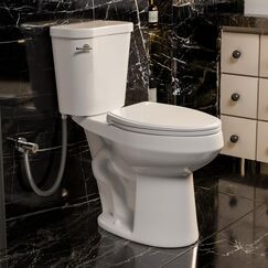 48.3 cm hohe Toilette, Los Flexi ADA & längliche extra hohe Toilette für Senioren, Komforthöhe, zweiteiliges WC mit Absenkautomatik, 30,5 cm grob, S-Falle, Siphonic Flush 1,28 GPF