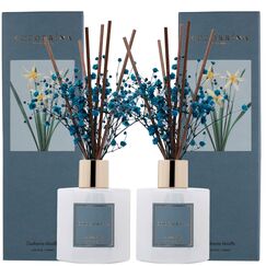 COCORRÍNA Raumduft Reed Diffuser mit 8 Duftstäbchen 200ml, Cashmere Vanilla, 2 Pack, Natürlich, Langanhaltend, Home Duft für Badezimmer Regal Dekoration