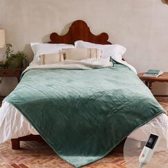 GOTCOZY Heizdecke 150x200 cm - Weicher seidiger Plüsch Wärmedecke Heizdecke 9 Heizstufen und 10 Stunden Auto-Off-Timer Überhitzungsschutz CE-Zertifiziert Kuscheldecke für Bett&Büro Waschbar(Grün)