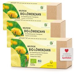 WELTECKE Bio Löwenzahntee - 3 x 25 Filterbeutel - 100% Reiner Löwenzahn - Kräutertee Ohne Zusatzstoffe - Natürliche Teemischung Aus Löwenzahnwurzel & Löwenzahnkraut - Tee In Teebeuteln