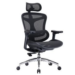 SIHOO Doro C300 Ergonomischer Bürostuhl mit ultraweichen 3D-Armlehnen, dynamischer Lordosenstütze für den Homeoffice-Stuhl, Verstellbarer Rückenlehne (Schwarz)