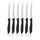 WMF Classic Line Frühstücksmesser Set 6-teilig, 23 cm, Brötchenmesser Wellenschliff, Brotzeitmesser, Spezialklingenstahl, Kunststoffgriff, schwarz, Stil: Set 2-teilig, Farbe: Grün
