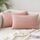 Slozzi 2er Set Kordsamt Kissenbezug Rosa 30x50cm Kissenbezüge Kissenhülle Sofakissen Dekokissenbezug Couchkissen Weich für Sofa Schlafzimmer Wohnzimmer Balkon, Größe: 50 x 30 cm, 2 Stück, Farbe: Rosa